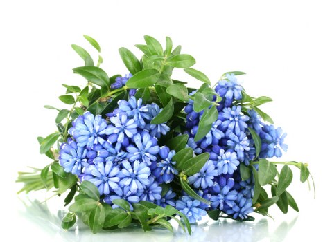 Fresh bouquet with vibrant flowers delivered in Hixon