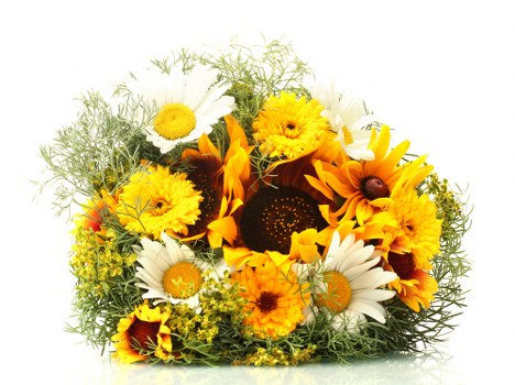 Beautiful floral arrangement delivered in Sunniside