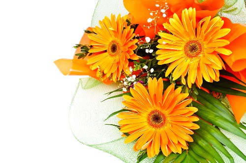 Beautiful fresh flowers arranged in a vase