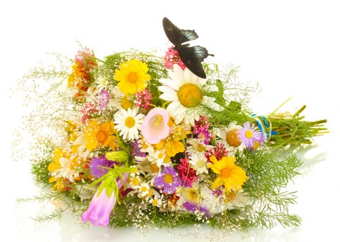 Elegant flower arrangements for special occasions
