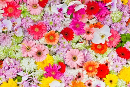 Beautiful bouquet delivered in Chobham