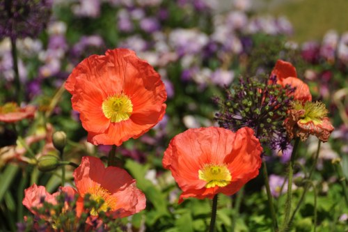 Elegant floral designs available for flower delivery