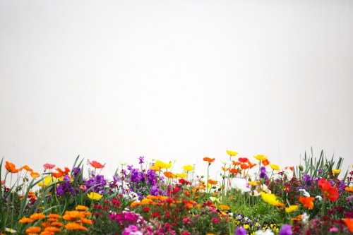 Elegant flower arrangements available for various occasions