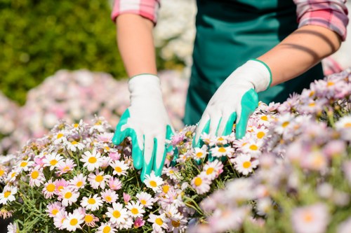 Eco-friendly flower packaging with a variety of blooms