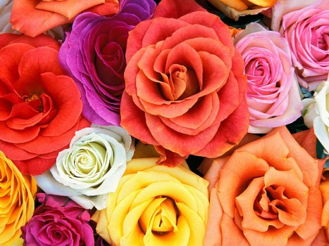 Traditional and modern flower arrangements