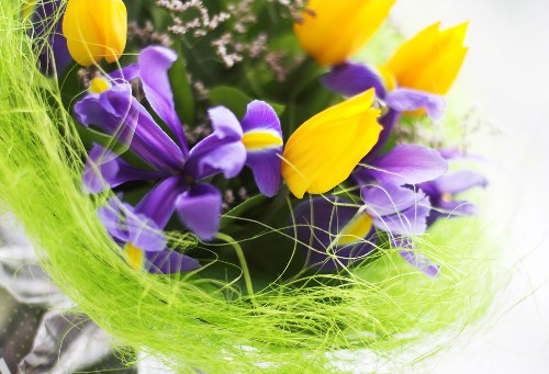 Eco-friendly packaging for flower delivery