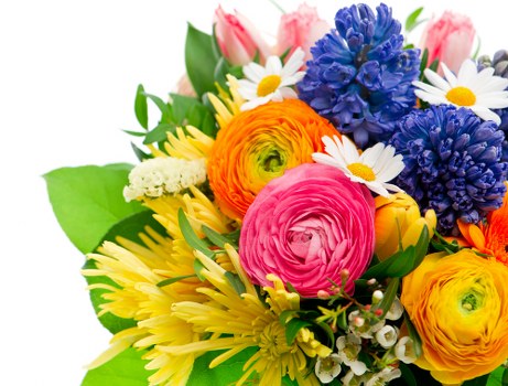 Local florist preparing a vibrant flower arrangement