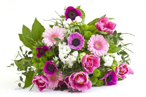 Seasonal flowers ready for delivery in Heanor