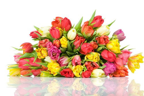 Delivery person carrying flower arrangements