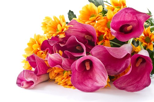 Eco-friendly flower packaging options
