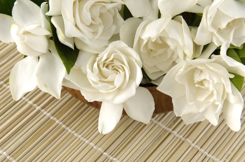 Selection of vibrant tulips and roses