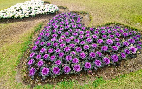 A vibrant bouquet of mixed flowers arranged beautifully