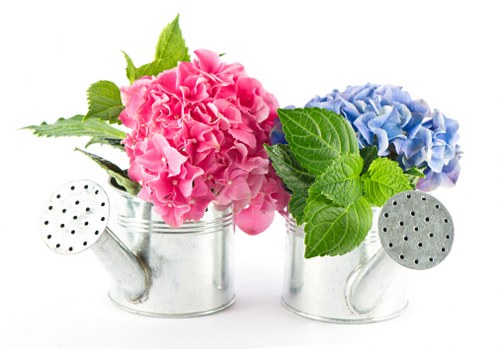 Local florist arranging a beautiful floral display