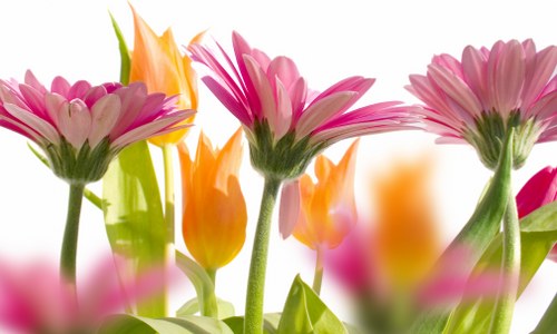 Elegant floral display for special occasions