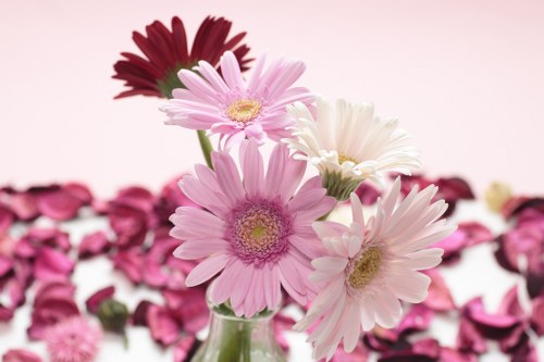 Beautiful flower arrangement set up in a garden