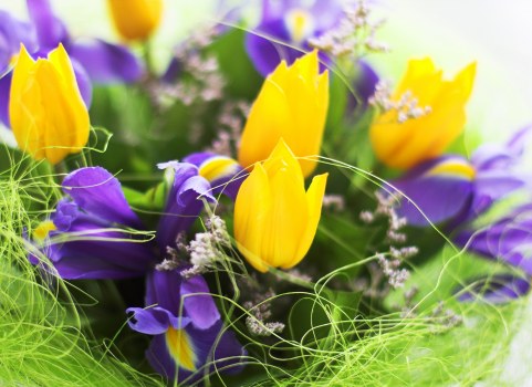Eco-friendly flower packaging for delivery