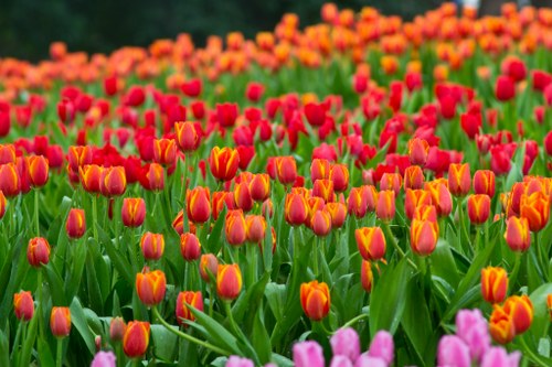 Stunning flowers for special occasions