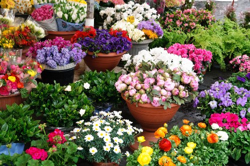 Online flower ordering process on a website