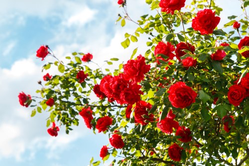 Elegant flower delivery package prepared for dispatch