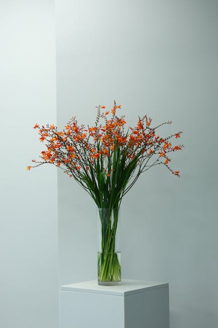 A tall, elegant glass vase holding a vibrant bouquet of orange and red flowers with long green stems and delicate, spiky foliage. The arrangement features a mix of small, clustered blossoms and slende